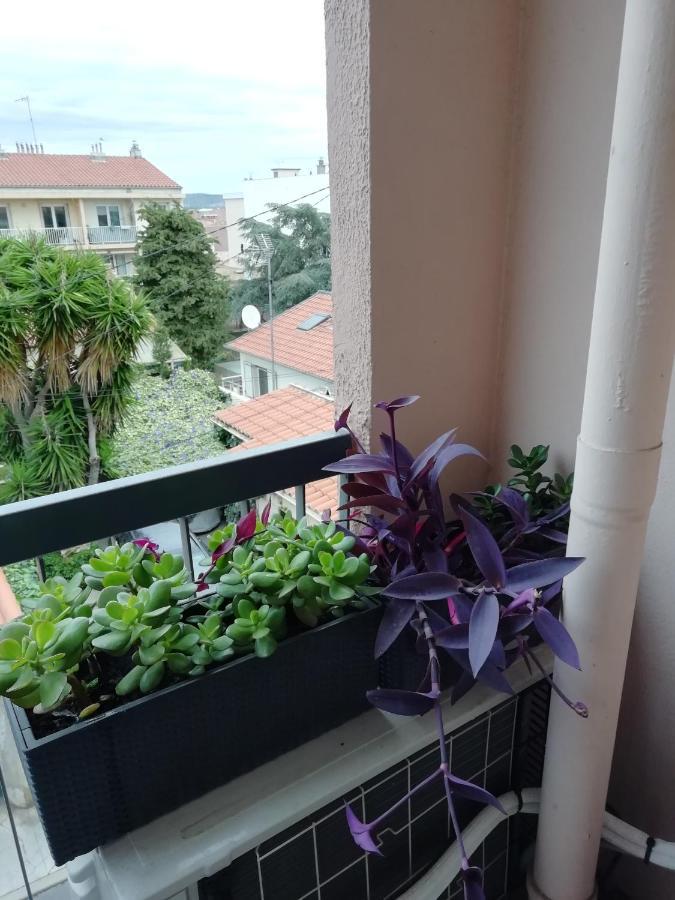 Appartement " Sete A Vous" Extérieur photo